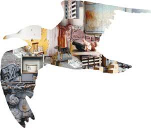 Seagull of Chernobyl 1986-30362
